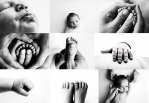 newborn photographer; buffalo baby photography